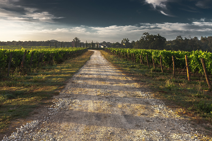 Way Prodotti Tipici e Aziende agricole